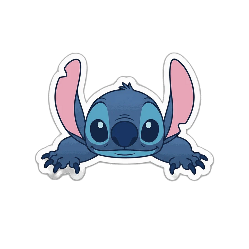 Stitch Patch